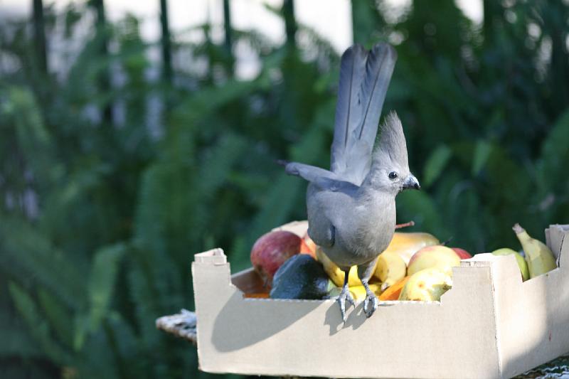 frieda 070.jpg - Aaggenee! ek moet dit deel?